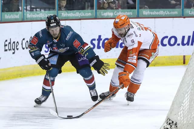Sheffield Steelers' Justin Hodgman contests the puck
