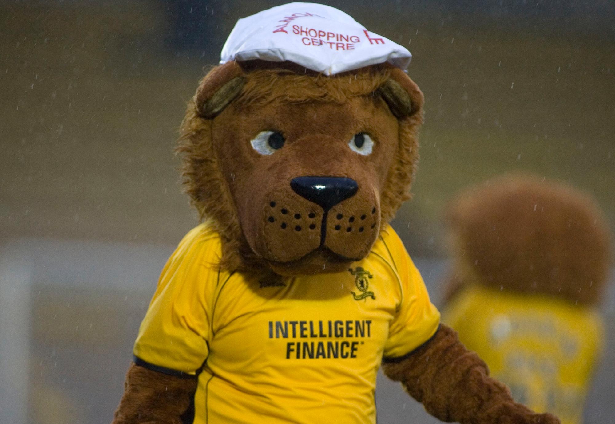 The Livi Lions.
