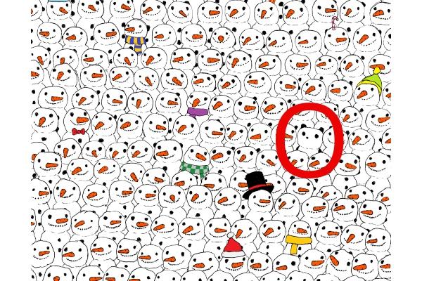 Were you able to find the panda?