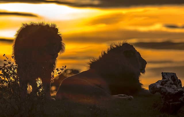 A year in pictures at Yorkshire Wildlife Park