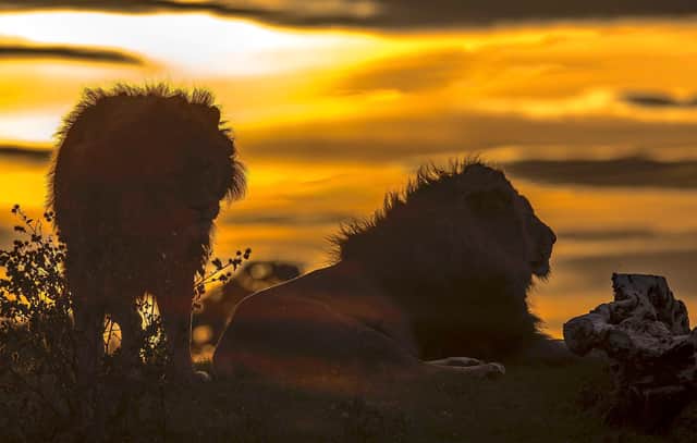 A year in pictures at Yorkshire Wildlife Park