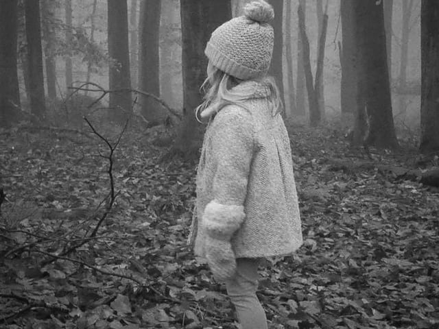 Out for a walk in the woods. By Jim Thomas.