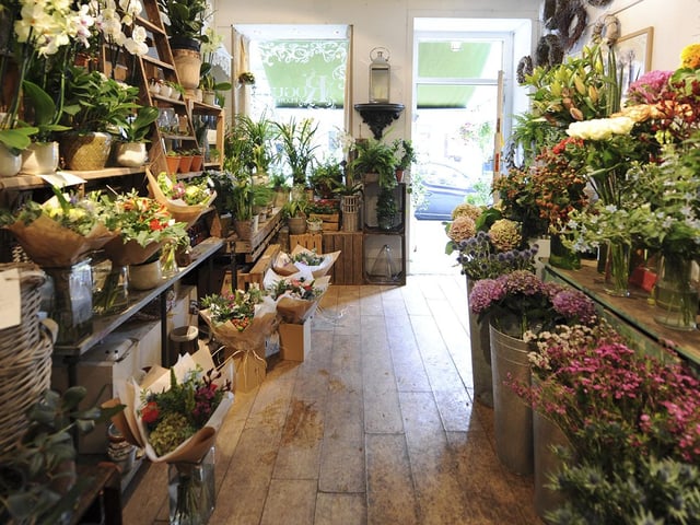 Another florist-plant shop hybrid, Rogue is hidden away in Edinburgh's west end on William Street, offering passers-by a wonderful range of indoor plants and flowers to choose from. Among these are typically a great selection of ferns, with everything from fluffy boston ferns to fiddly maidenhairs, as well as small leafy succulents and large trailing ivy plants.

 5A William St, Edinburgh EH3 7NG