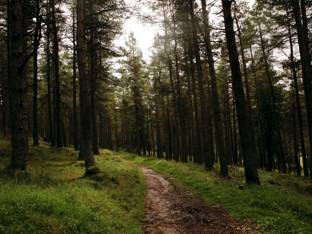 Angus completes the top 10 with 57 sightings. Reports include a driver and her son encountering a ghostly woman standing on the roadside and the appearance of the spooky shadow of a man who was hung in Careston.
