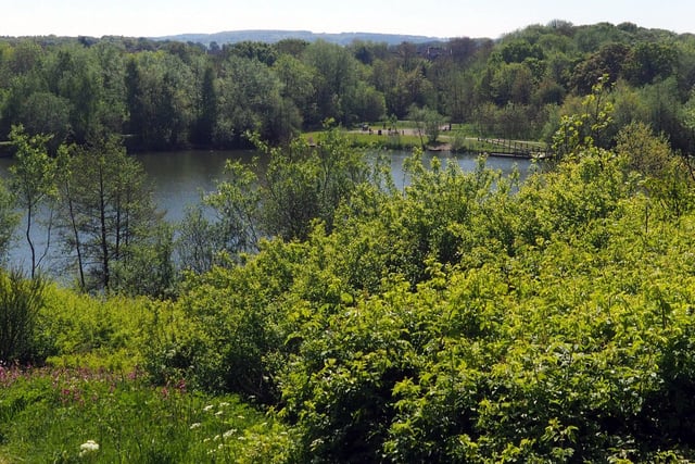 The park consists of a mosaic of woodland, species-rich wildflower meadows, sports pitches, open water and visitor facilities, such as play areas and picnic sites.