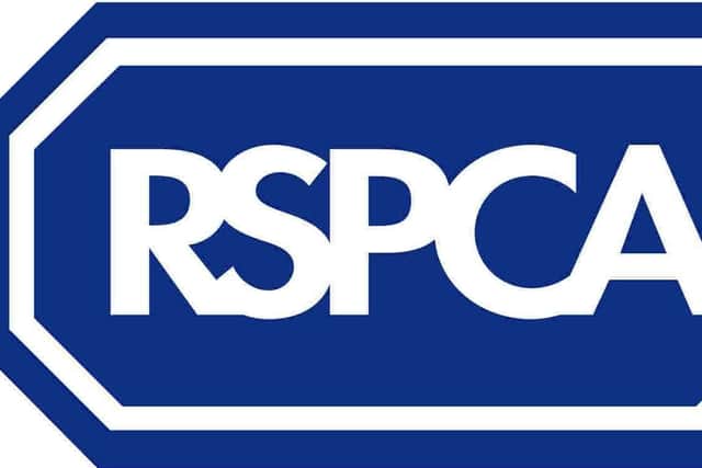 The RSPCA has launched an investigation after skinned animals were found in South Yorkshire.