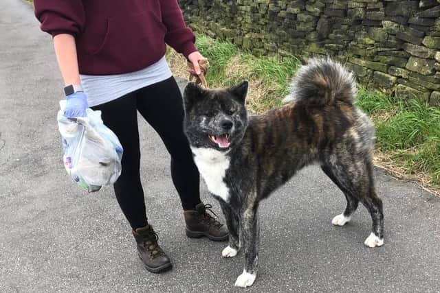 An online community for dog owners is asking Sheffield owners to help do their part to clean up their area over the bank holiday weekend.