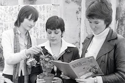 Who remembers when Ashfield School had a farm?