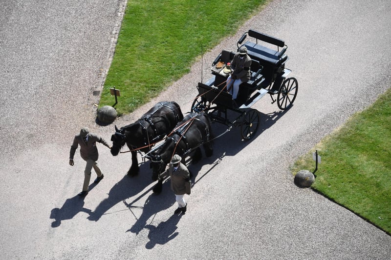 Fell ponies, Balmoral Nevis and Notlaw Storm pullling the Duke of Edinburgh's driving carriage arrive for the funeral.