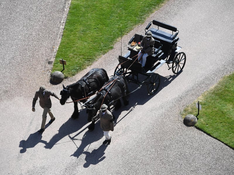 Fell ponies, Balmoral Nevis and Notlaw Storm pullling the Duke of Edinburgh's driving carriage arrive for the funeral.