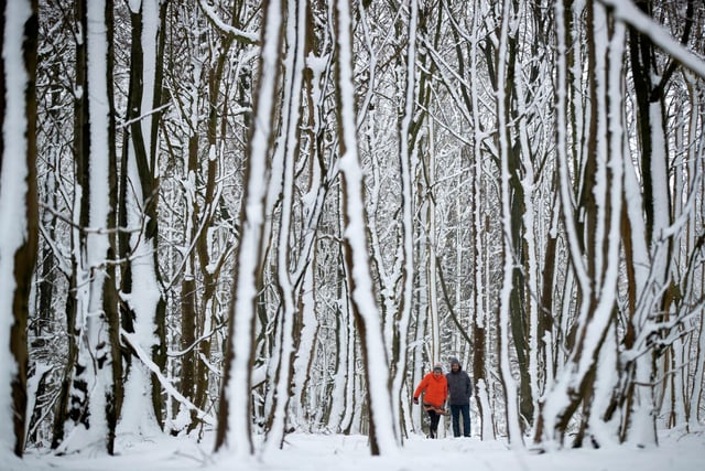 Beverley Fletcher and James Hall wander through woodland where the prevailing wind has coated tree trunks with fresh snow near Biggin in the Derbyshire peak District.