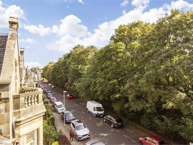 The property sits on a beautiful tree-lined street.