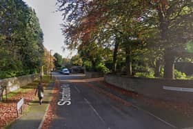 Six trees may be saved on a Sheffield street if a tree preservation order is confirmed at a committee hearing next week.