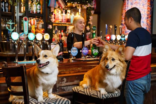 Cocktails and Corgis at Greene King pubs.