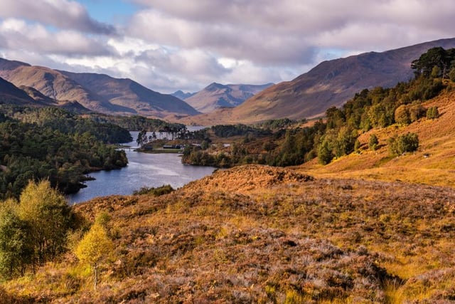 Glen Affric combines native woods with vast moorland and sparkling lochs, featuring over 30 miles of ancient pinewoods. During autumn, Glen Affric comes alive with the colours of bright orange and rich greens (Photo: Shutterstock)