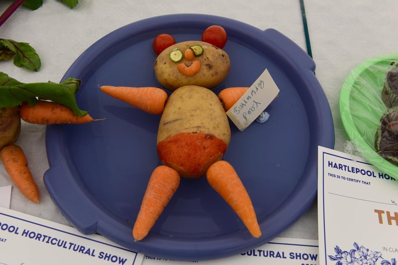 One of the children's entries at the Hartlepool Hortricultral Show.