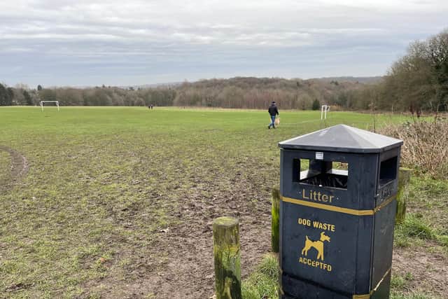 Ecclesall Rangers Junior Football Club started a petition calling on Sheffield Council to put an end to dog fouling plaguing the pitches at Whirlow playing fields, on Limb Lane, Dore.