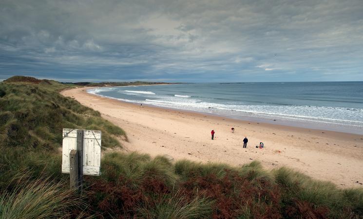 Embleton is the number five rated dog-friendly beach.