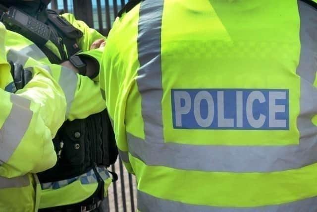 Woman bitten by dog in Sheffield street