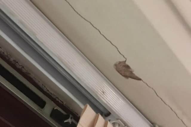 A crack can be seen at the bedroom window. Picture by Nicole Maclean