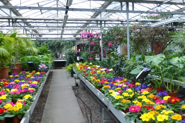 Take a trip to Walkers Nurseries in Mosham Road, Blaxton, for all your shrubs, flowers, bedding plants, grasses, foliage, pines. And they've been a pines and conifers specialist for over 60 years. But it's not just about gardening, there is a lovely cafe, gift shop and famikly activities to take part in too.
