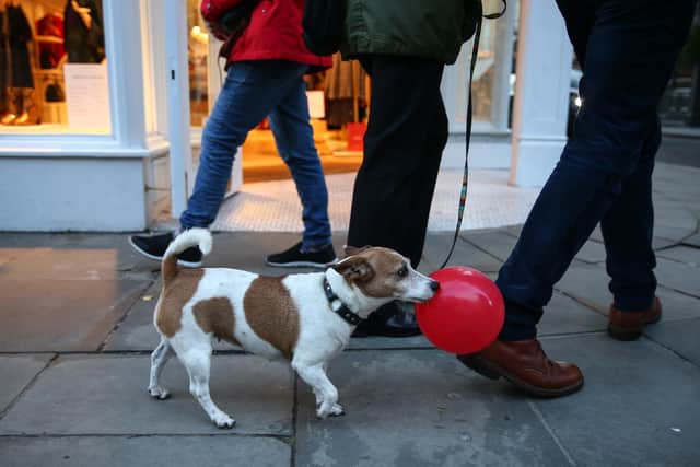A dog walks with Christmas shoppers (Photo by Hollie Adams/Getty Images)