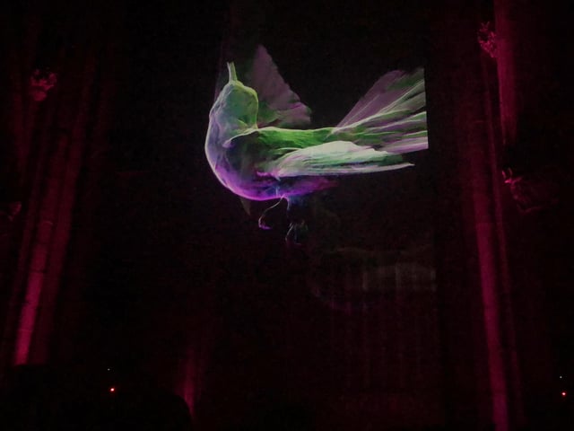 The animals danced around the church.