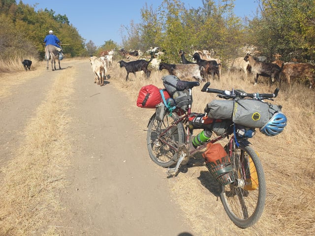 Mike's trusty bike, "Billie", drew the attention of local livestock.