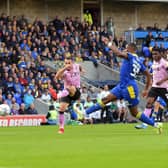 Lee Gregory scored twice for Sheffield Wednesday, but it wasn't enough to claim three points against AFC Wimbledon.