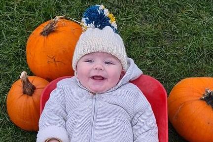 This little one looks delighted to be surrounded by pumpkins. Image: Jennifer Anne