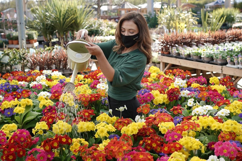 Garden Centres are allowed to reopen from today, April 5,  both indoor and outdoor.