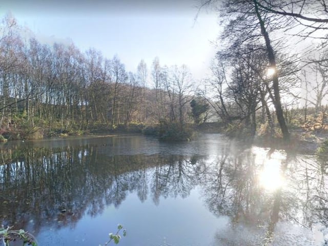 Spa Ponds, Forest Town.