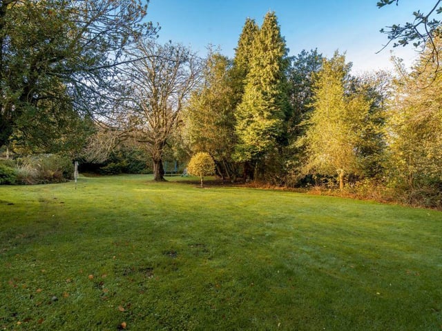 Rear garden.