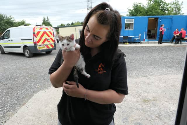 Tiny Louis pictured with a Rain Rescue worker.