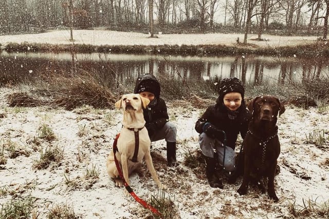 Jayden and Harley with dogs Jabba and Luna at Harlow woods. From Nicola Hallam.
