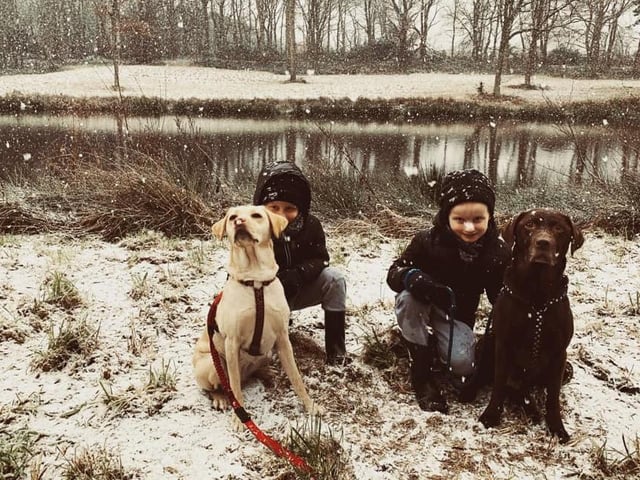 Jayden and Harley with dogs Jabba and Luna at Harlow woods. From Nicola Hallam.