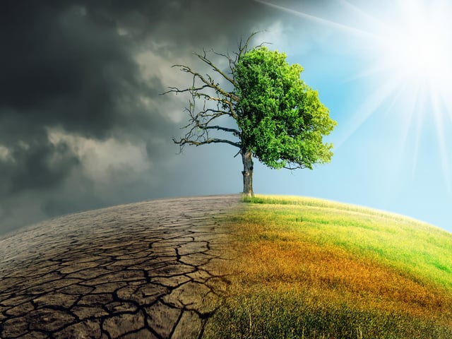 A new breed of engineer-scientists will hopefully emerge with the ability to rebuild ecosystems around the planet, such as rainforests and ocean beds, as global warming devastates vulnerable landscapes around the world.