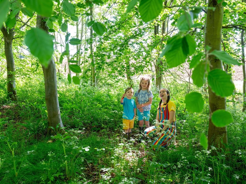 Get ready to unleash your inner explorer this May half term as William’s Jungle Adventure swings into action! Running 24th May to 1st June 2025, their wild jungle experience is packed with thrilling challenges, hilarious trials, and memory-making moments for all ages. From taste tests and mystery boxes to obstacle courses and scavenger hunts, the jungle is bursting with surprises around every corner. 📍 William's Den, Castle Farm, Wold Hill, North Cave, HU15 2LS
