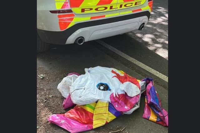 This was the scene at a Sheffield reservoir – after emergency services were called to save two men from drowning. Picture shows the inflatable unicorn