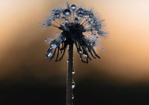 Feels like it has rained non stopped this week! From @theskysthelimit.photography