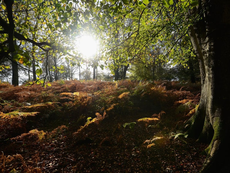 This picture perfect New Forest village very much plays up its long connection with witches and has fantastic little shops, pubs and tearooms to make a visit well worth your time. But it also a springboard for a large number of walks into the stunning first itself which also makes it very special. (And of course a walk is an excuse for tea and cake afterwards!)
 (Picture: Mike Hewitt/Getty Images)