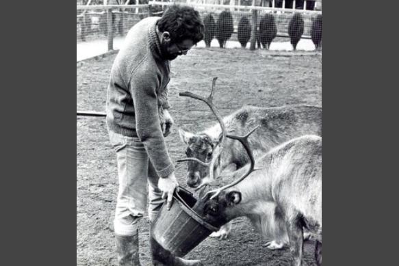 Feeding the Reinder in 1975
