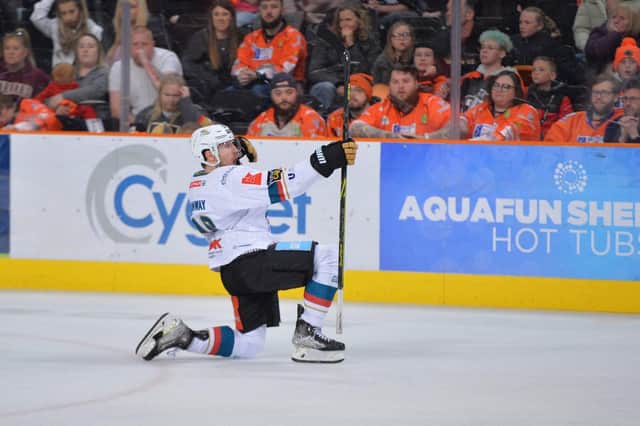 Belfast reigned supreme last season, at Sheffield's expense, picture: Dean Woolley
