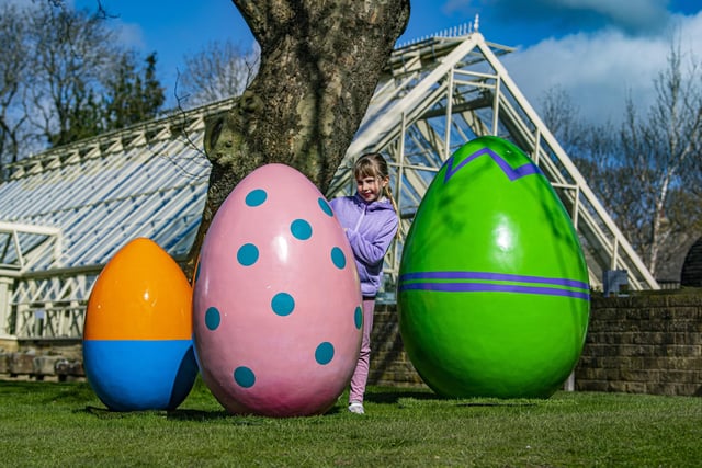 Why are some eggs dyed red at Easter?  Picture Tony Johnson