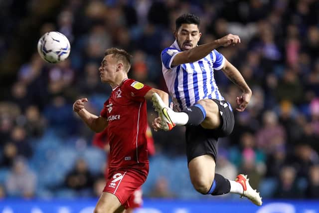 Massimo Luongo's return to fitness has sparked a spike in optimism at Sheffield Wednesday.