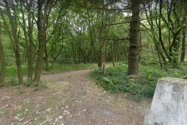Grenoside Wood is another place that will be brilliant for a picturesque bike ride.