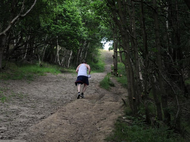 Nestled between Pudsey and Farnley, this nature trail offers spectacular views across west Leeds from its woodland paths where the overhanging trees open up, making the climb to the top well worth the effort.