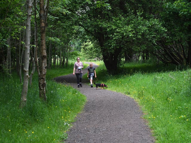 Here 120 acres of park and woodland surround a large shallow loch with a wooded island, where wintering water birds such as whooper swan and goldeneye duck make their home.