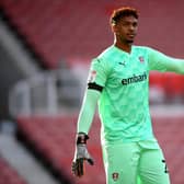 Rotherham United 'keeper Jamal Blackman could be fot to face Swansea next week. (Photo by Gareth Copley/Getty Images)