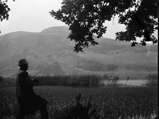 Park warden Duncan Anderson is pictured looking out over Duddingston Loch in October 1963.